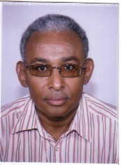 SALAH TOUBEH